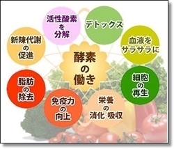 hie02.jpg
